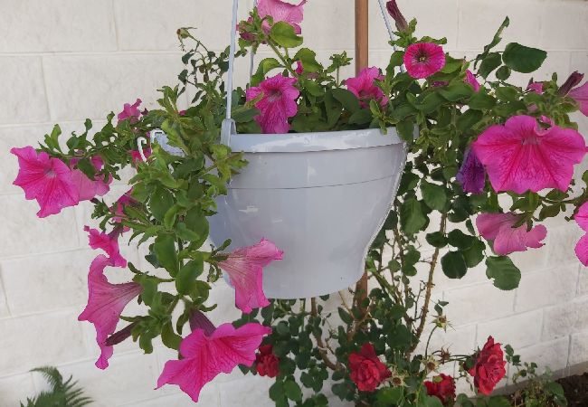 Estudio en Hvar - Apartamento Estudio en Hvar con Terraza, Acondicionador, WIFI, Lavadora (4858-1) Estudio en Hvar - Apartamento Estudio en Hvar con Terraza, Acondicionador, WIFI, Lavadora (4858-1)