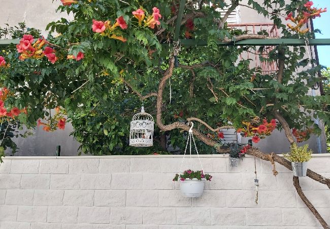 Estudio en Hvar - Apartamento Estudio en Hvar con Terraza, Acondicionador, WIFI, Lavadora (4858-1) Estudio en Hvar - Apartamento Estudio en Hvar con Terraza, Acondicionador, WIFI, Lavadora (4858-1)