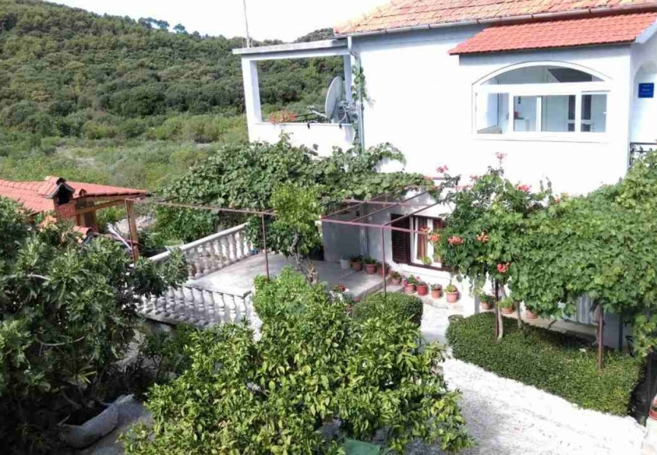 Apartamento en Okrug Donji - Apartamento en Okrug Donji con Terraza, Acondicionador, WIFI, Lavadora (4864-1)