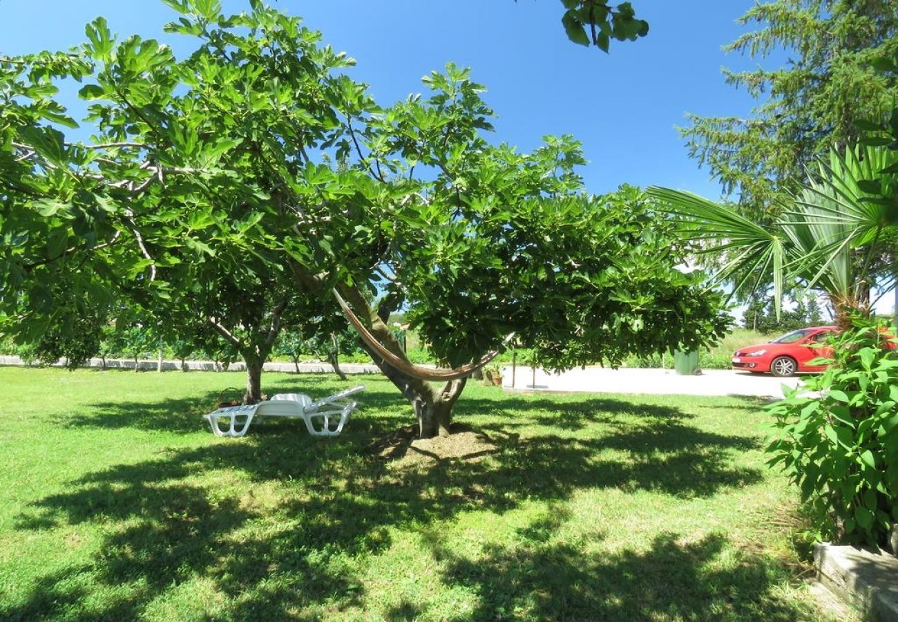 Casa en Ljubac - Casa de vacaciones en Ljubač con Seaview, Terraza, Acondicionador, WIFI (4851-1)