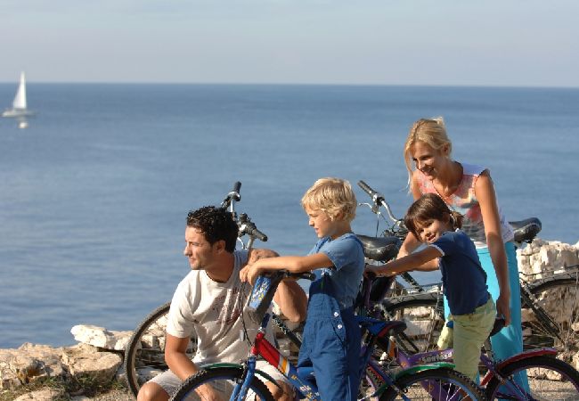 Apartamento en Funtana - Apartamento en Funtana con Seaview, Terraza, Acondicionador, WIFI (4879-2) Apartamento en Funtana - Apartamento en Funtana con Seaview, Terraza, Acondicionador, WIFI (4879-2)