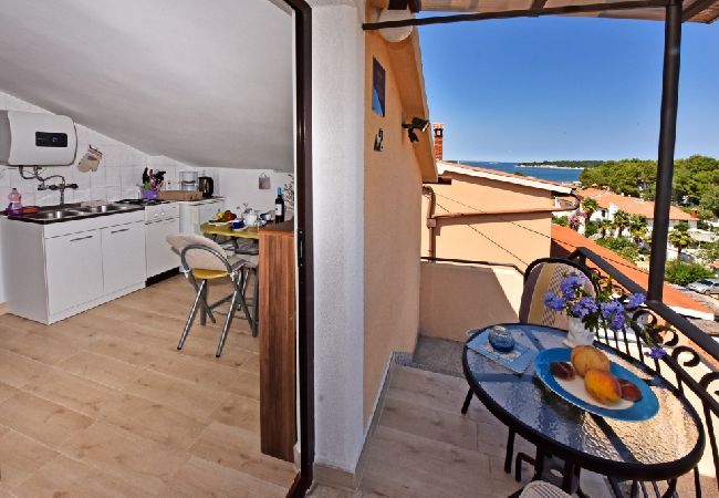 Apartamento en Funtana - Apartamento en Funtana con Seaview, Terraza, Acondicionador, WIFI (4879-2) Apartamento en Funtana - Apartamento en Funtana con Seaview, Terraza, Acondicionador, WIFI (4879-2)