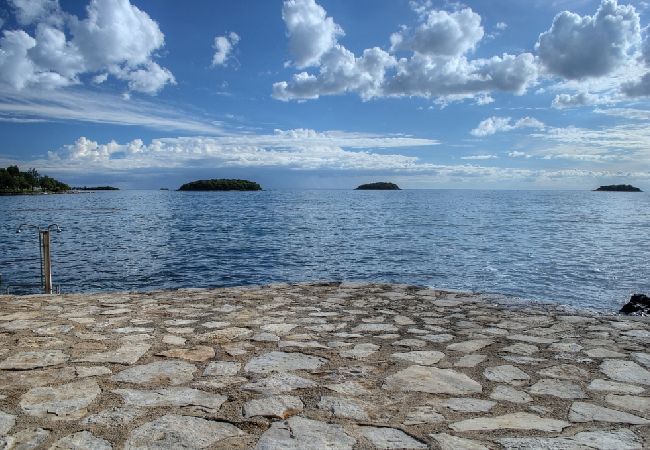 Apartamento en Funtana - Apartamento en Funtana con Seaview, Terraza, Acondicionador, WIFI (4879-2) Apartamento en Funtana - Apartamento en Funtana con Seaview, Terraza, Acondicionador, WIFI (4879-2)