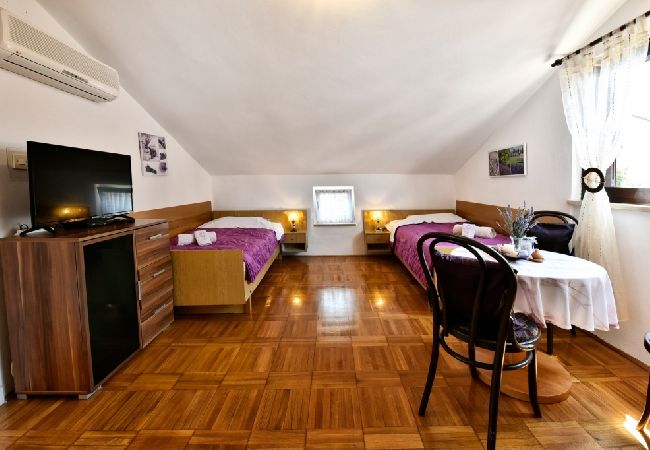 Apartamento en Funtana - Apartamento en Funtana con Seaview, Terraza, Acondicionador, WIFI (4879-2) Apartamento en Funtana - Apartamento en Funtana con Seaview, Terraza, Acondicionador, WIFI (4879-2)