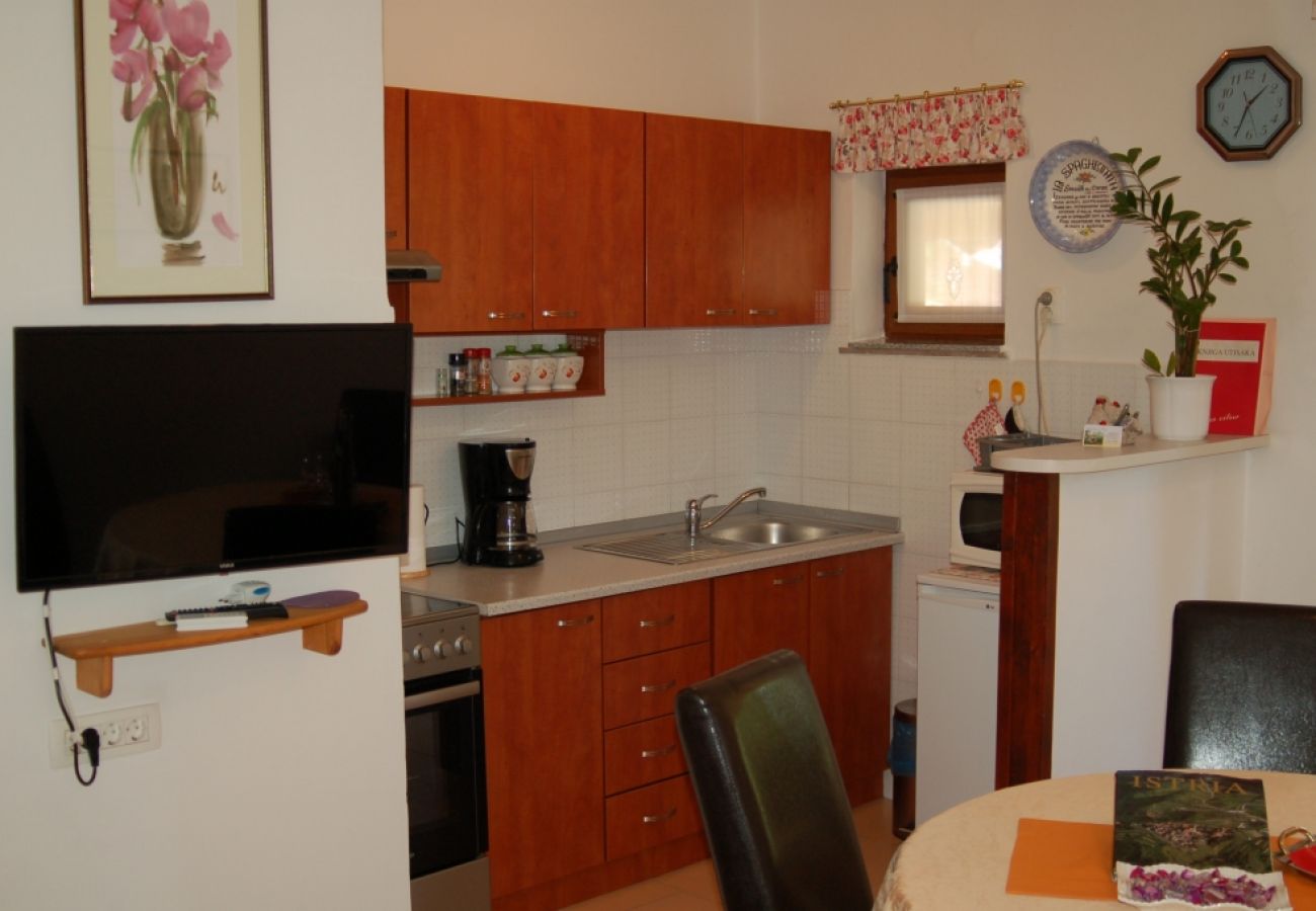 Apartamento en Roc - Apartamento en Roč con Balcón, Acondicionador, WIFI, Lavadora (4909-1)