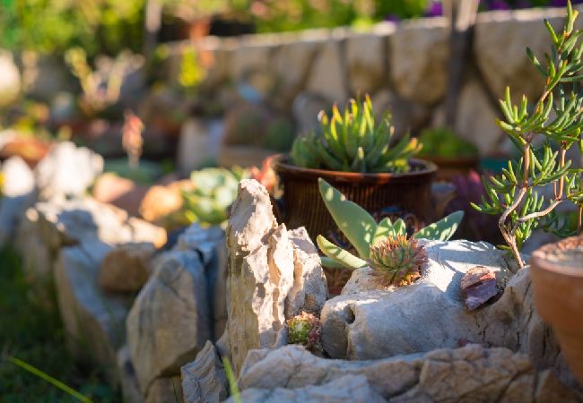 Apartamento en Kampor - Apartamento en Kampor con Seaview, Balcón, Acondicionador, WIFI (4838-1) Apartamento en Kampor - Apartamento en Kampor con Seaview, Balcón, Acondicionador, WIFI (4838-1)