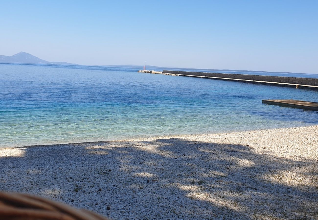 Apartamento en Mali Lošinj - Apartamento en Mali Lošinj con Terraza, Acondicionador, WIFI, Lavadora (4913-1)