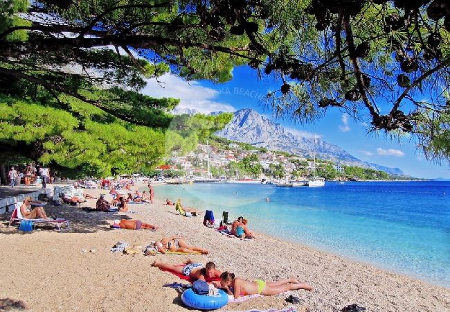 Estudio en Brela - Apartamento Estudio en Brela con Acondicionador, WIFI (4962-2) Estudio en Brela - Apartamento Estudio en Brela con Acondicionador, WIFI (4962-2)