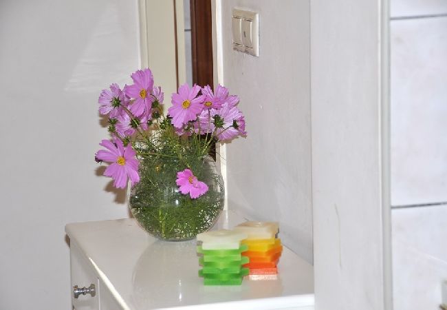 Apartamento en Duce - Apartamento en Duće con Seaview, Terraza, Acondicionador, WIFI (4969-1) Apartamento en Duce - Apartamento en Duće con Seaview, Terraza, Acondicionador, WIFI (4969-1)