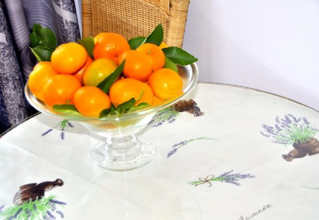 Apartamento en Duce - Apartamento en Duće con Seaview, Terraza, Acondicionador, WIFI (4969-1) Apartamento en Duce - Apartamento en Duće con Seaview, Terraza, Acondicionador, WIFI (4969-1)