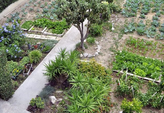 Apartamento en Duce - Apartamento en Duće con Seaview, Terraza, Acondicionador, WIFI (4969-1) Apartamento en Duce - Apartamento en Duće con Seaview, Terraza, Acondicionador, WIFI (4969-1)