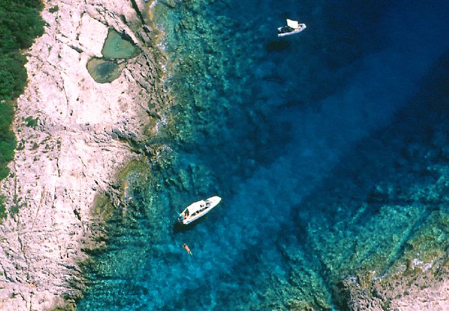 Apartamento en Mali Lošinj - Apartamento en Mali Lošinj con Seaview, Terraza, Acondicionador, WIFI (4927-1) Apartamento en Mali Lošinj - Apartamento en Mali Lošinj con Seaview, Terraza, Acondicionador, WIFI (4927-1)