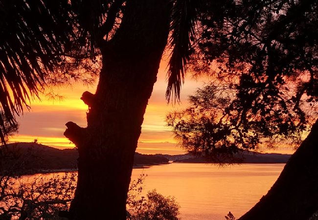 Apartamento en Mali Lošinj - Apartamento en Mali Lošinj con Terraza, Acondicionador, WIFI, Lavadora (4913-3) Apartamento en Mali Lošinj - Apartamento en Mali Lošinj con Terraza, Acondicionador, WIFI, Lavadora (4913-3)