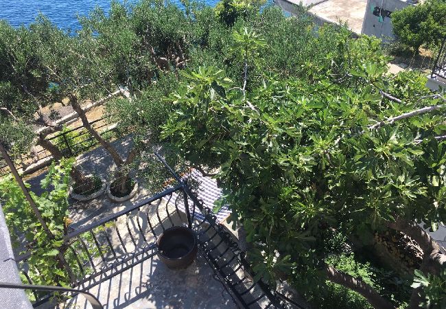 Apartamento en Pisak - Apartamento en Pisak con Seaview, Terraza, Acondicionador, WIFI (5023-3) Apartamento en Pisak - Apartamento en Pisak con Seaview, Terraza, Acondicionador, WIFI (5023-3)