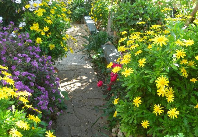 Apartamento en Okrug Gornji - Apartamento en Okrug Gornji con Seaview, Terraza, Acondicionador, WIFI (5046-1) Apartamento en Okrug Gornji - Apartamento en Okrug Gornji con Seaview, Terraza, Acondicionador, WIFI (5046-1)