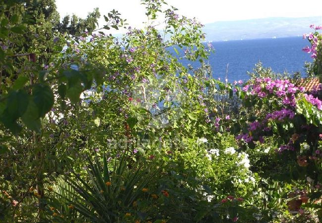 Apartamento en Okrug Gornji - Apartamento en Okrug Gornji con Seaview, Terraza, Acondicionador, WIFI (5046-1) Apartamento en Okrug Gornji - Apartamento en Okrug Gornji con Seaview, Terraza, Acondicionador, WIFI (5046-1)