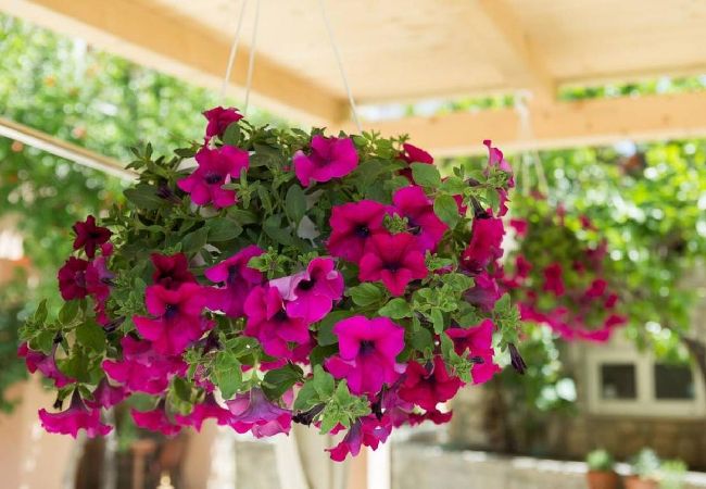 Estudio en Trogir - Apartamento Estudio en Trogir con Terraza, Acondicionador, WIFI, Lavadora (5058-2) Estudio en Trogir - Apartamento Estudio en Trogir con Terraza, Acondicionador, WIFI, Lavadora (5058-2)