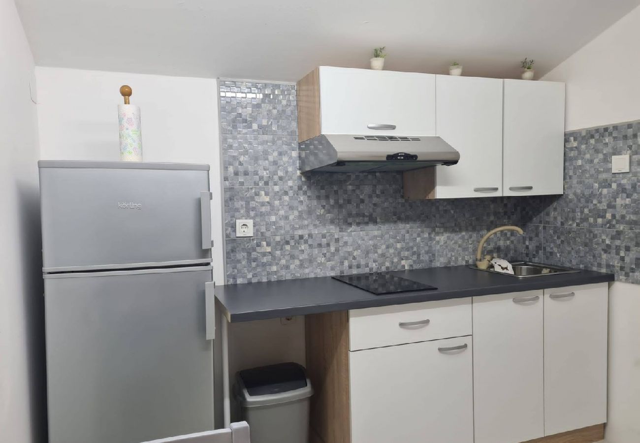 Apartamento en Privlaka - Apartamento en Privlaka con Seaview, Terraza, Acondicionador, WIFI (3591-3)