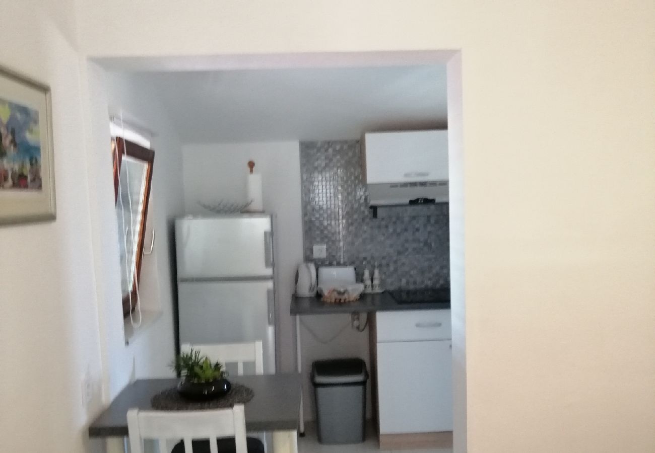 Apartamento en Privlaka - Apartamento en Privlaka con Seaview, Terraza, Acondicionador, WIFI (3591-3)