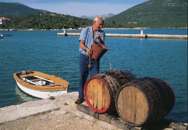 Estudio en Orebic - Apartamento Estudio en Orebić con Seaview, Balcón, Acondicionador, WIFI (4202-4) Estudio en Orebic - Apartamento Estudio en Orebić con Seaview, Balcón, Acondicionador, WIFI (4202-4)