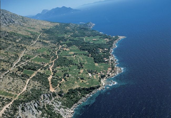 Estudio en Orebic - Apartamento Estudio en Orebić con Seaview, Balcón, Acondicionador, WIFI (4202-4) Estudio en Orebic - Apartamento Estudio en Orebić con Seaview, Balcón, Acondicionador, WIFI (4202-4)