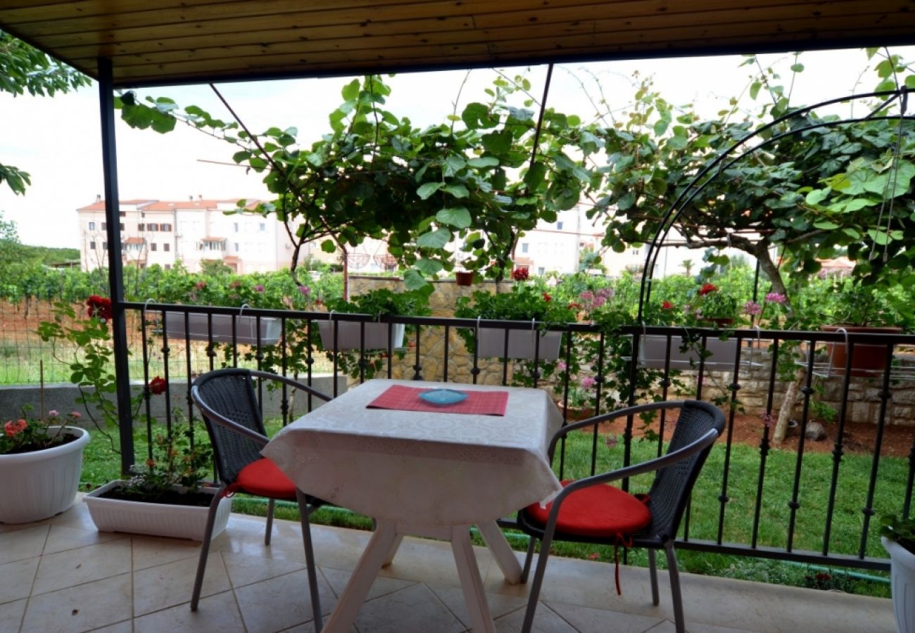 Estudio en Vrvari - Apartamento Estudio en Vrvari con Terraza, Acondicionador, WIFI, Lavadora (664-4)