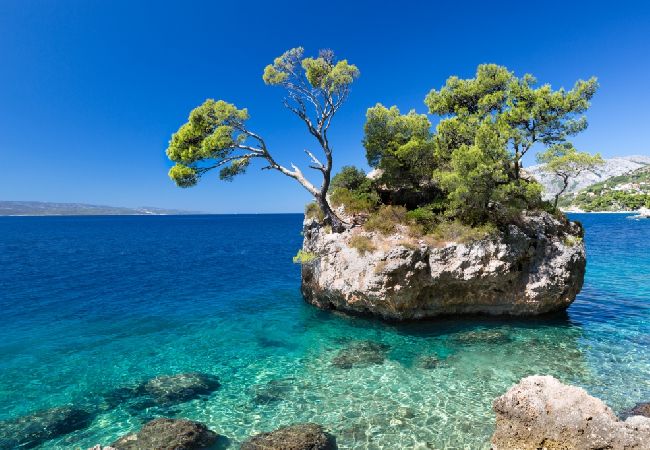 Apartamento en Brela - Apartamento en Brela con Seaview, Terraza, Acondicionador, WIFI (201-10) Apartamento en Brela - Apartamento en Brela con Seaview, Terraza, Acondicionador, WIFI (201-10)