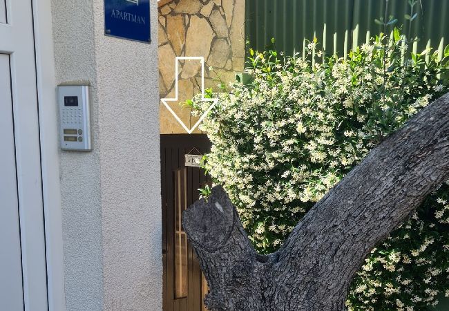 Apartamento en Rovinj - Apartamento en Rovinj con Balcón, Acondicionador, WIFI, Lavadora (5116-1) Apartamento en Rovinj - Apartamento en Rovinj con Balcón, Acondicionador, WIFI, Lavadora (5116-1)