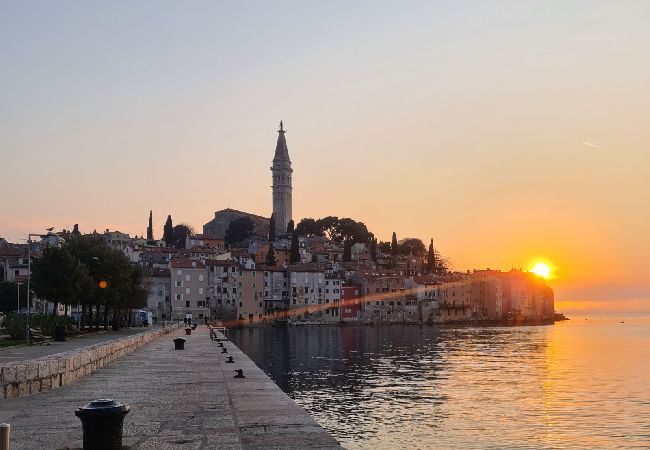 Apartamento en Rovinj - Apartamento en Rovinj con Balcón, Acondicionador, WIFI, Lavadora (5116-1) Apartamento en Rovinj - Apartamento en Rovinj con Balcón, Acondicionador, WIFI, Lavadora (5116-1)
