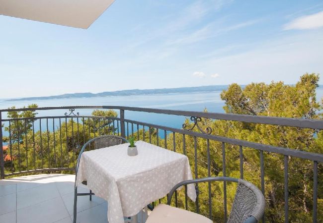 Apartamento en Brela - Apartamento en Brela con Seaview, Balcón, Acondicionador, WIFI (5122-2) Apartamento en Brela - Apartamento en Brela con Seaview, Balcón, Acondicionador, WIFI (5122-2)