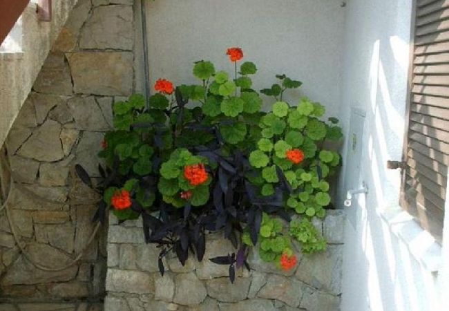 Apartamento en Pisak - Apartamento en Pisak con Seaview, Balcón, Acondicionador, WIFI (5135-1) Apartamento en Pisak - Apartamento en Pisak con Seaview, Balcón, Acondicionador, WIFI (5135-1)