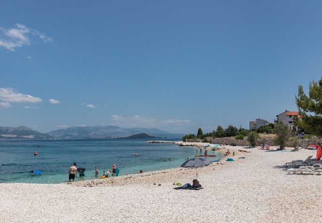 Apartamento en Arbanija - Apartamento en Arbanija con Seaview, Terraza, Acondicionador, WIFI (5139-2) Apartamento en Arbanija - Apartamento en Arbanija con Seaview, Terraza, Acondicionador, WIFI (5139-2)