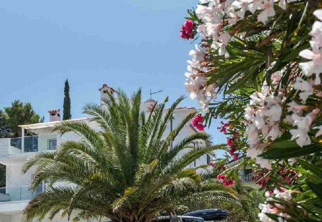 Apartamento en Arbanija - Apartamento en Arbanija con Seaview, Terraza, Acondicionador, WIFI (5139-3) Apartamento en Arbanija - Apartamento en Arbanija con Seaview, Terraza, Acondicionador, WIFI (5139-3)