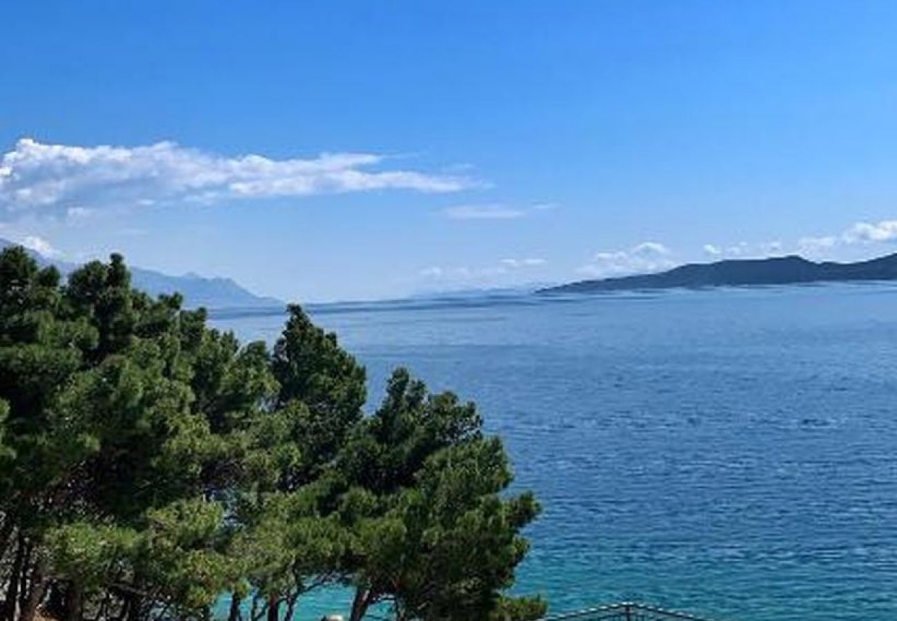 Apartamento en Mimice - Apartamento en Medići con Seaview, Balcón, Acondicionador, WIFI (907-4)
