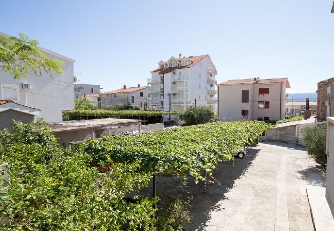 Apartamento en Duce - Apartamento en Duće con Seaview, Balcón, Acondicionador, WIFI (5146-5) Apartamento en Duce - Apartamento en Duće con Seaview, Balcón, Acondicionador, WIFI (5146-5)
