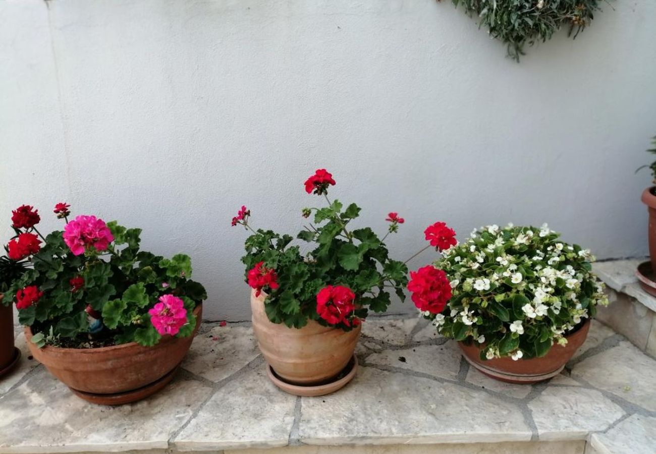 Apartamento en Primošten - Apartamento en Primošten con Seaview, Terraza, Acondicionador, WIFI (5155-1) Apartamento en Primošten - Apartamento en Primošten con Seaview, Terraza, Acondicionador, WIFI (5155-1)