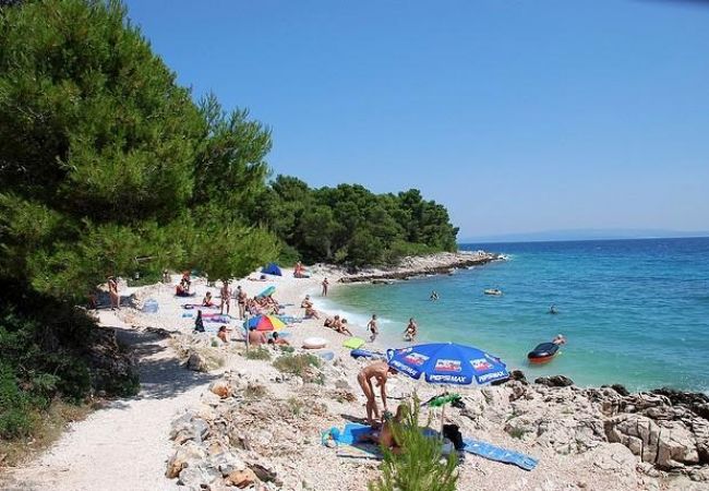 Apartamento en Okrug Gornji - Apartamento en Okrug Gornji con Seaview, Terraza, Acondicionador, WIFI (5160-3) Apartamento en Okrug Gornji - Apartamento en Okrug Gornji con Seaview, Terraza, Acondicionador, WIFI (5160-3)