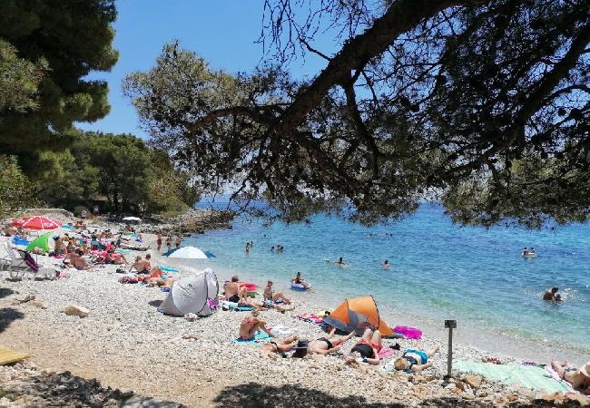 Apartamento en Okrug Gornji - Apartamento en Okrug Gornji con Seaview, Terraza, Acondicionador, WIFI (5160-2) Apartamento en Okrug Gornji - Apartamento en Okrug Gornji con Seaview, Terraza, Acondicionador, WIFI (5160-2)