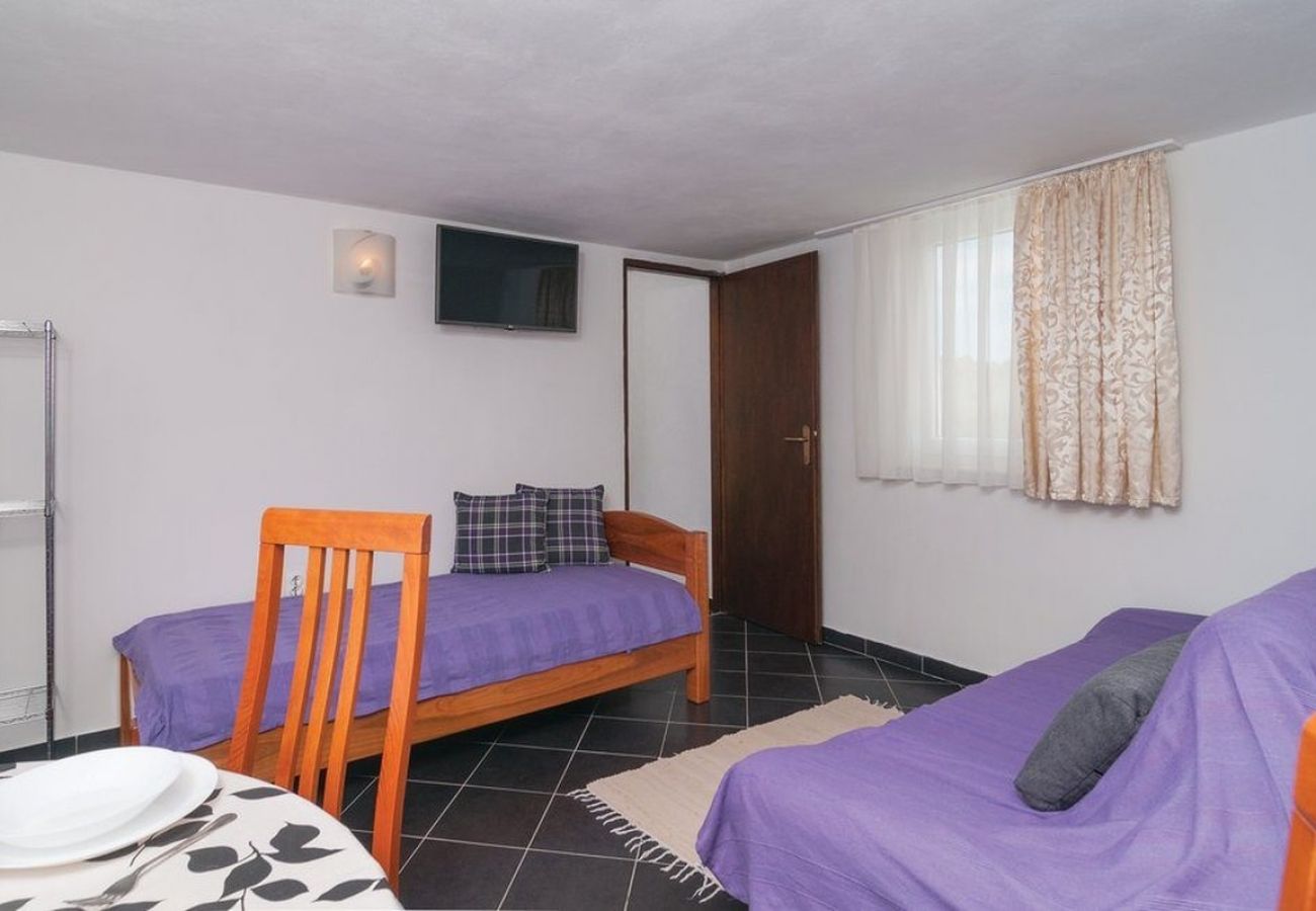 Apartamento en Ražanj - Apartamento en Ražanj con Terraza, Acondicionador, WIFI, Lavadora (4773-4)