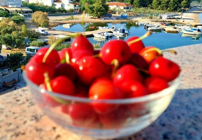 Apartamento en Žaboric - Apartamento en Žaborić con Seaview, Balcón, Acondicionador, WIFI (5177-1) Apartamento en Žaboric - Apartamento en Žaborić con Seaview, Balcón, Acondicionador, WIFI (5177-1)