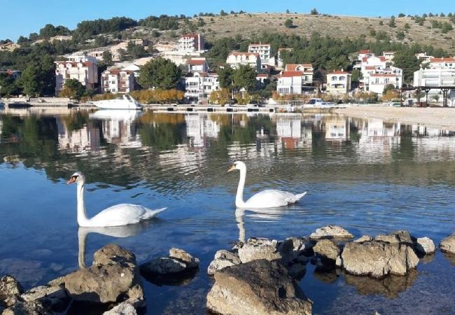 Apartamento en Žaboric - Apartamento en Žaborić con Seaview, Balcón, Acondicionador, WIFI (5177-1) Apartamento en Žaboric - Apartamento en Žaborić con Seaview, Balcón, Acondicionador, WIFI (5177-1)