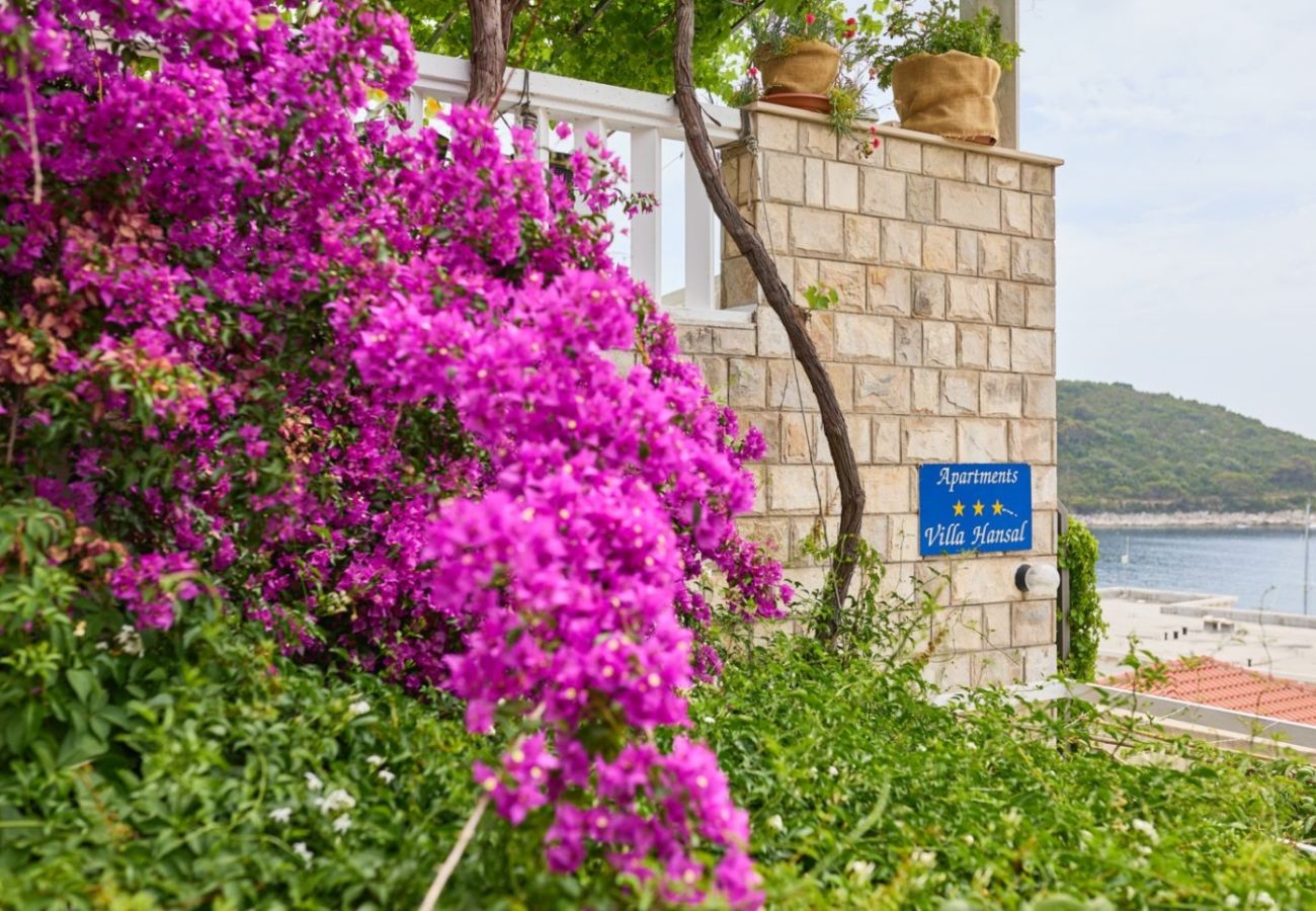 Apartamento en Saplunara - Apartamento en Saplunara con Seaview, Balcón, Acondicionador, WIFI (5197-1)
