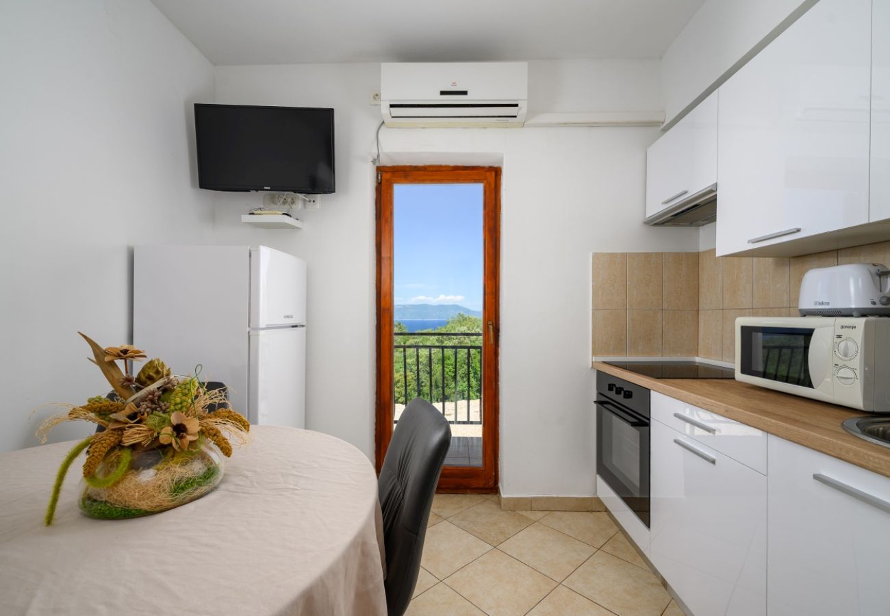 Apartamento en Drenje - Apartamento de vacaciones en Drenje con vista al mar, terraza, aire acondicionado y Wi-Fi (5235-6)