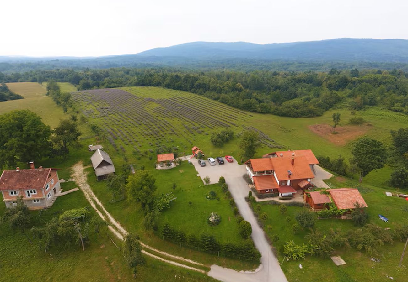 Apartamento en Rakovica - Apartment 601-4 for 6 people in Rakovica