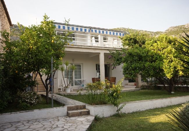 Appartement à Viganj - Appartement dans Viganj avec vue mer, terrasse, Climatisation, WIFI (22-2) Appartement à Viganj - Appartement dans Viganj avec vue mer, terrasse, Climatisation, WIFI (22-2)