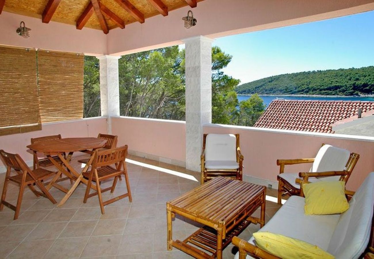 Maison à Vela Luka - Maison de vacances dans Tri Porte (Potirna) avec vue mer, terrasse, Climatisation, WIFI (39-1)