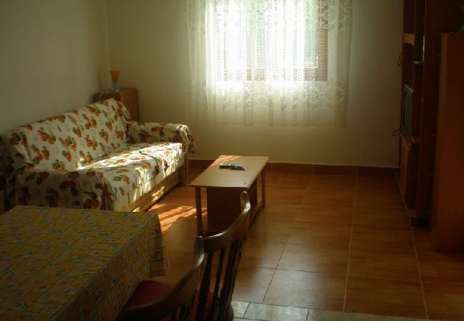 Appartement à Bibinje - Appartement dans Bibinje avec vue mer, terrasse, Climatisation, WIFI (59-1) Appartement à Bibinje - Appartement dans Bibinje avec vue mer, terrasse, Climatisation, WIFI (59-1)