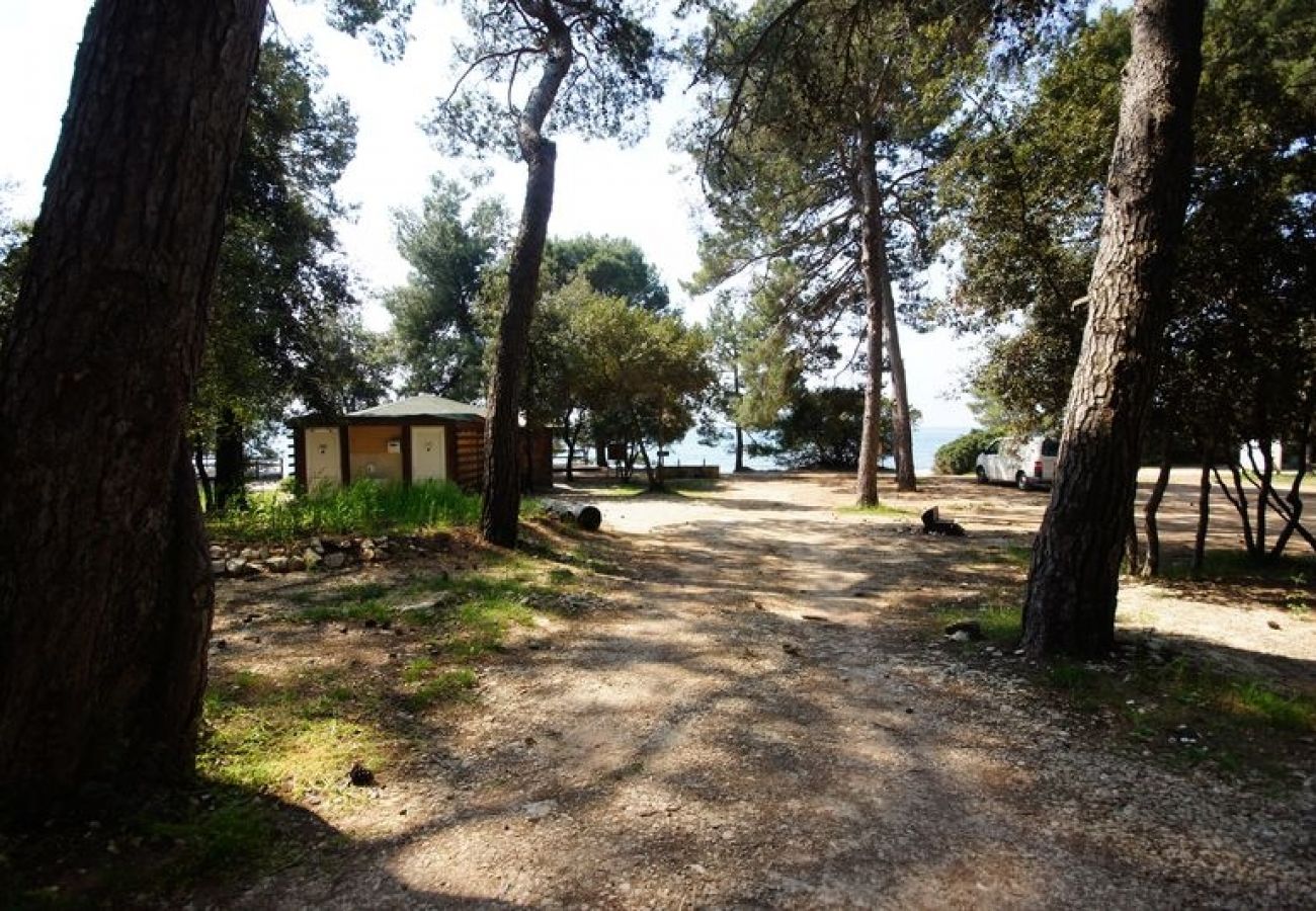 Chambres d'hôtes à Rovinj - Chambre dans Rovinj avec vue mer, Balcon, Climatisation, WIFI (81-3)