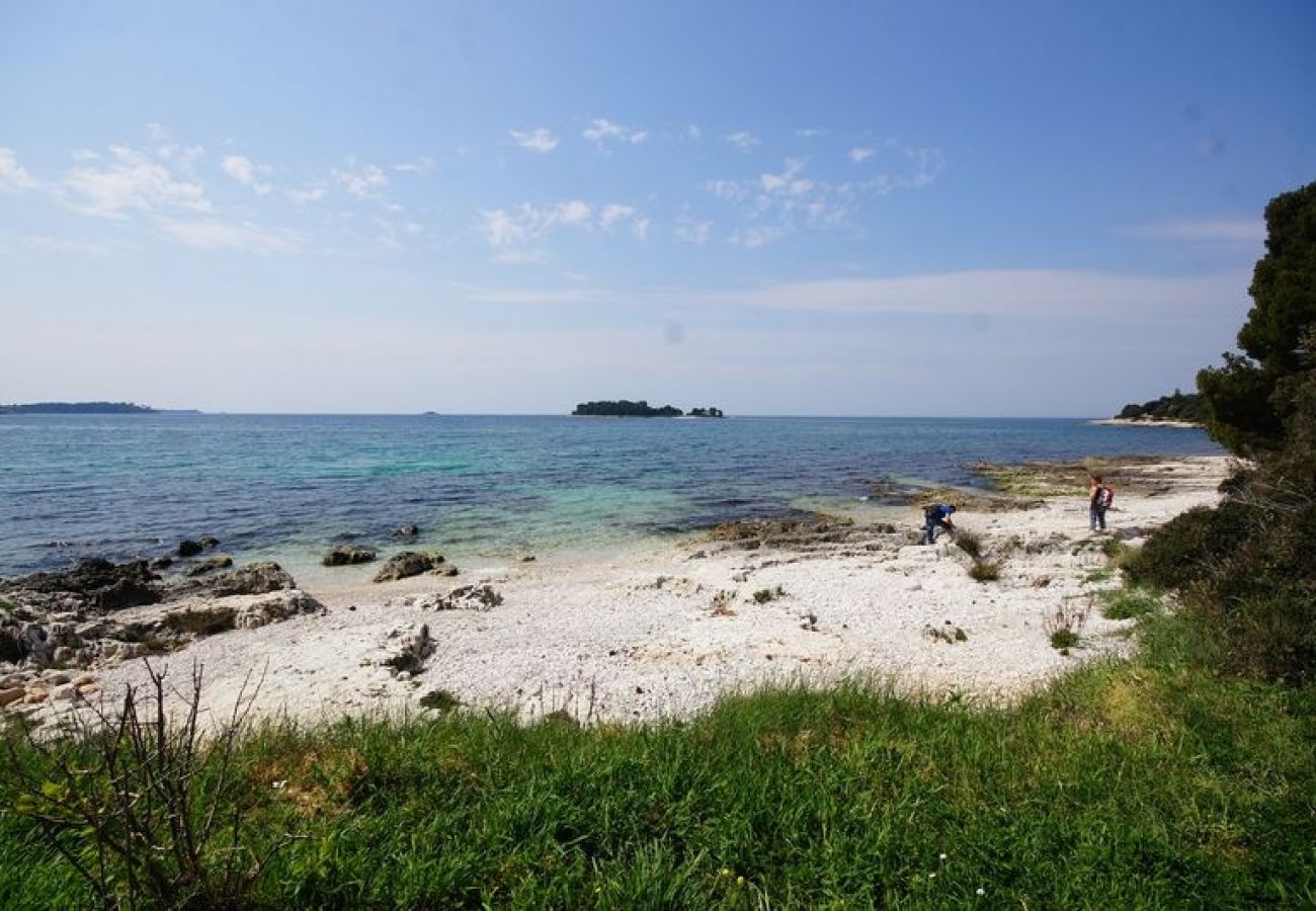 Chambres d'hôtes à Rovinj - Chambre dans Rovinj avec vue mer, Balcon, Climatisation, WIFI (81-3)