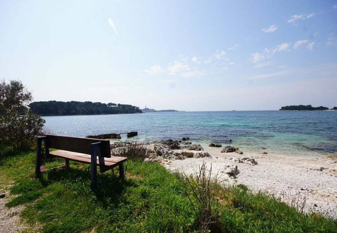 Chambres d'hôtes à Rovinj - Chambre dans Rovinj avec vue mer, Balcon, Climatisation, WIFI (81-3)